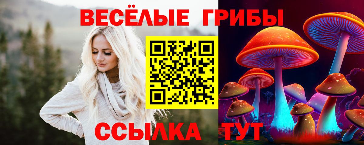 закладка  Вход с VPN  Костомукша  Галлюциногенные грибы Cubensis  Галлюциногенные грибы Psilocybine cubensis 